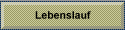 Lebenslauf